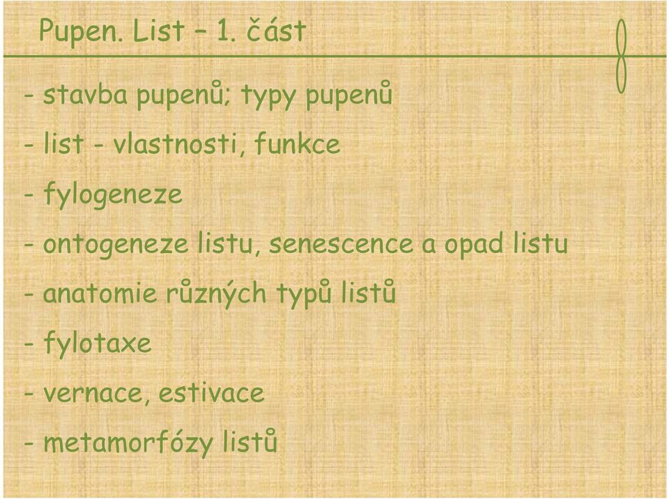 vlastnosti, funkce - fylogeneze - ontogeneze listu,