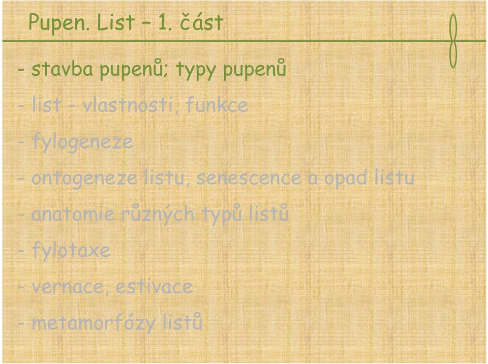 vlastnosti, funkce - fylogeneze - ontogeneze listu,