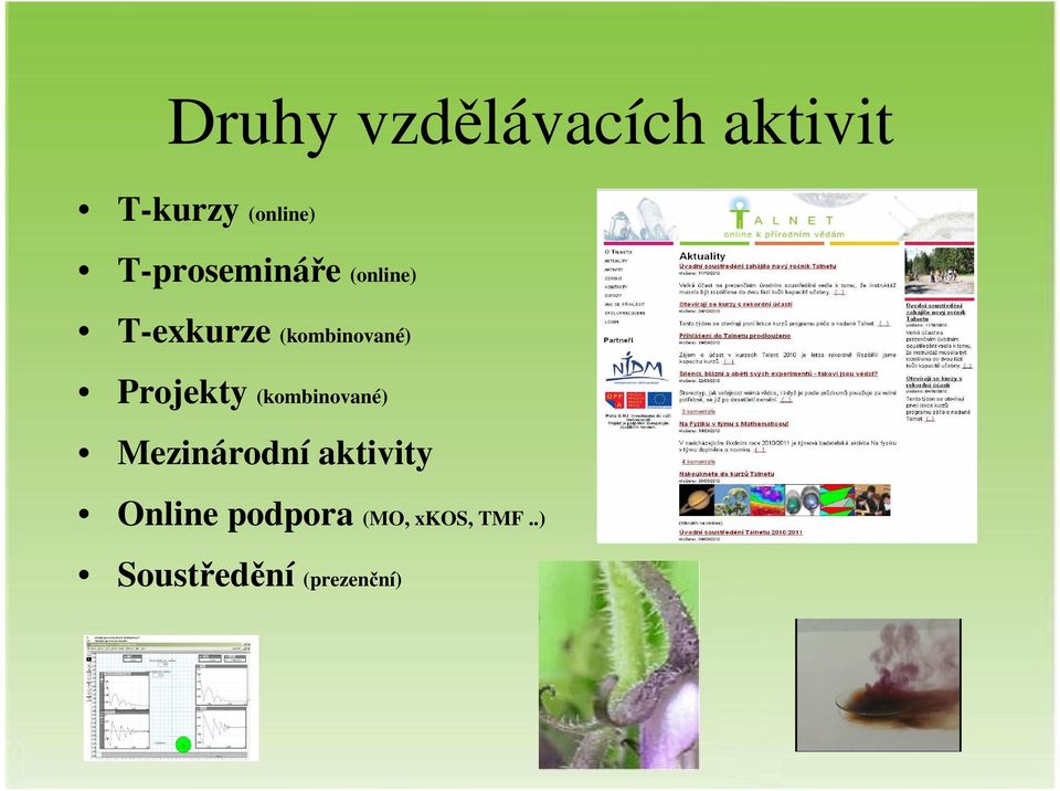 Projekty (kombinované) Mezinárodní aktivity