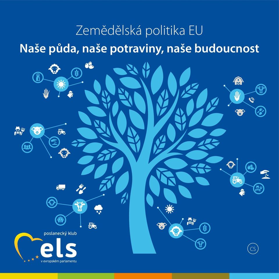 půda, naše