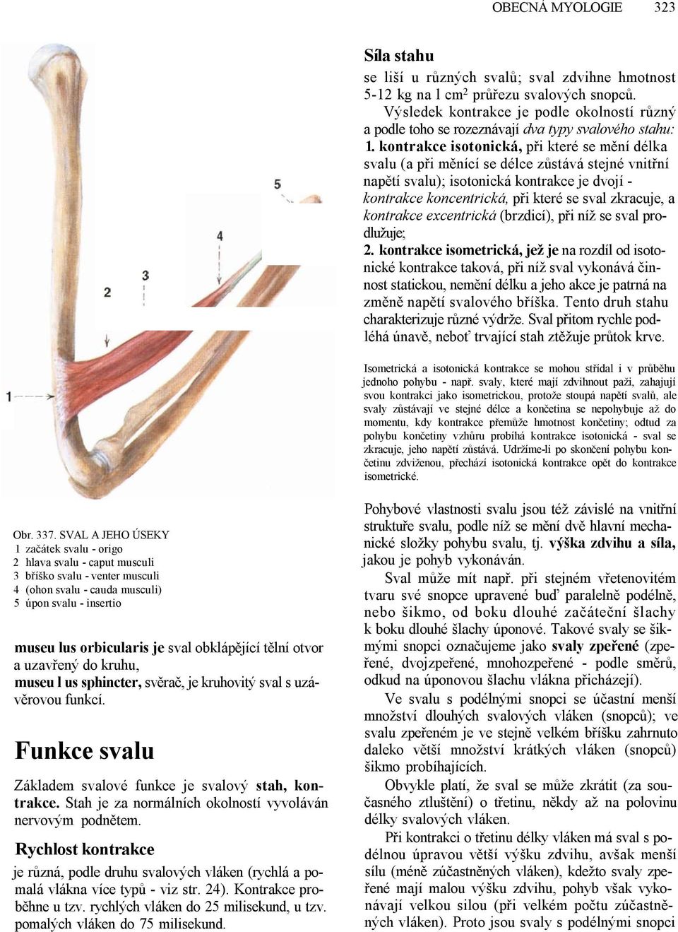 kontrakce isotonická, při které se mění délka svalu (a při měnící se délce zůstává stejné vnitřní napětí svalu); isotonická kontrakce je dvojí - kontrakce koncentrická, při které se sval zkracuje, a