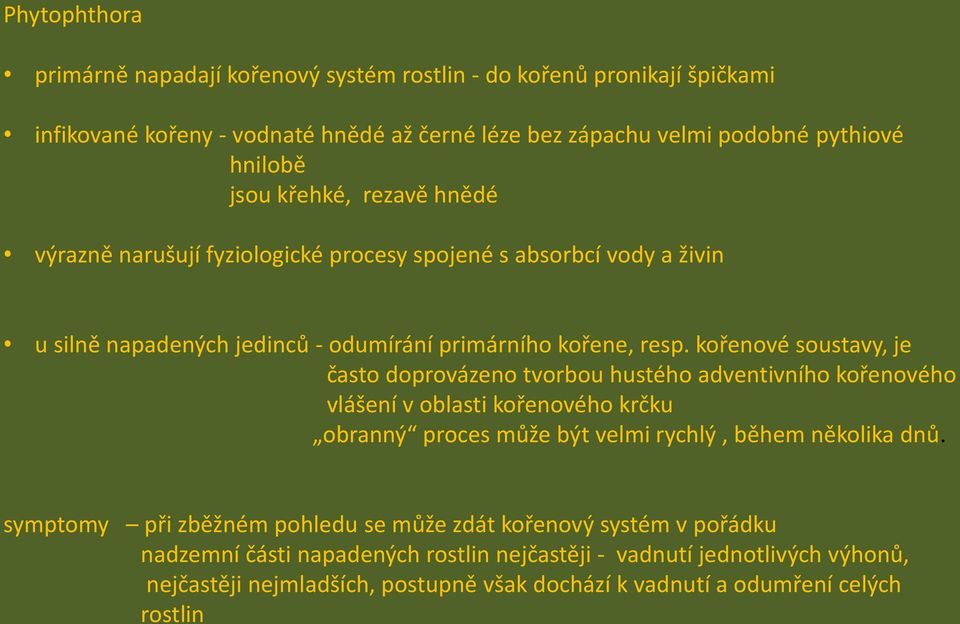 kořenové soustavy, je často doprovázeno tvorbou hustého adventivního kořenového vlášení v oblasti kořenového krčku obranný proces může být velmi rychlý, během několika dnů.