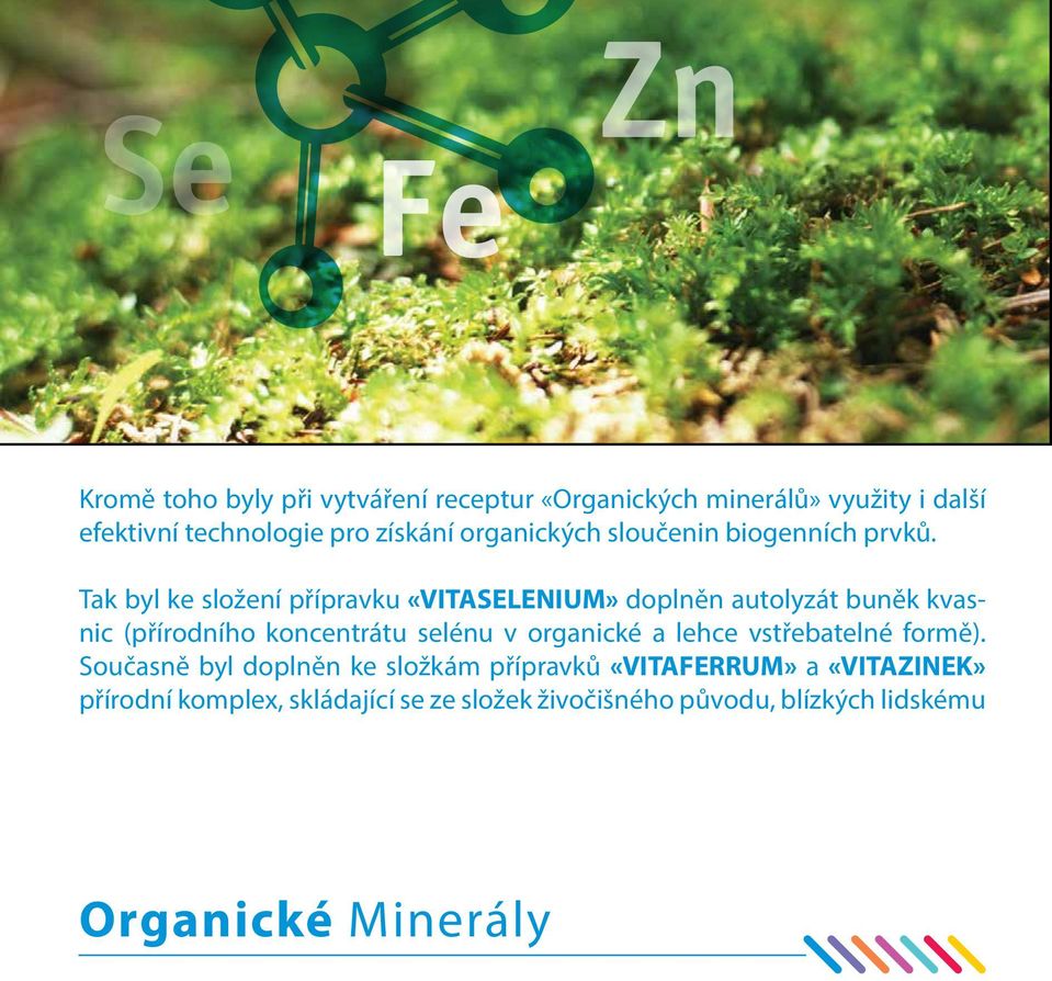 Tak byl ke složení přípravku «VITASELENIUM» doplněn autolyzát buněk kvasnic (přírodního koncentrátu selénu v organické