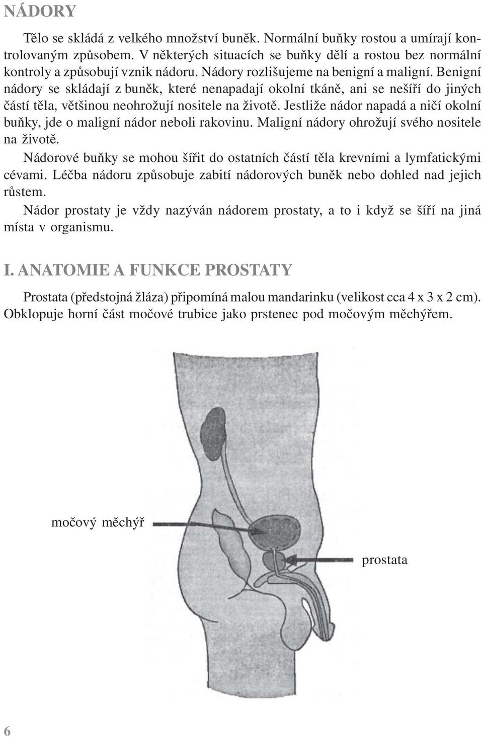 Jestliže nádor napadá a ničí okolní buňky, jde o maligní nádor neboli rakovinu. Maligní nádory ohrožují svého nositele na životě.