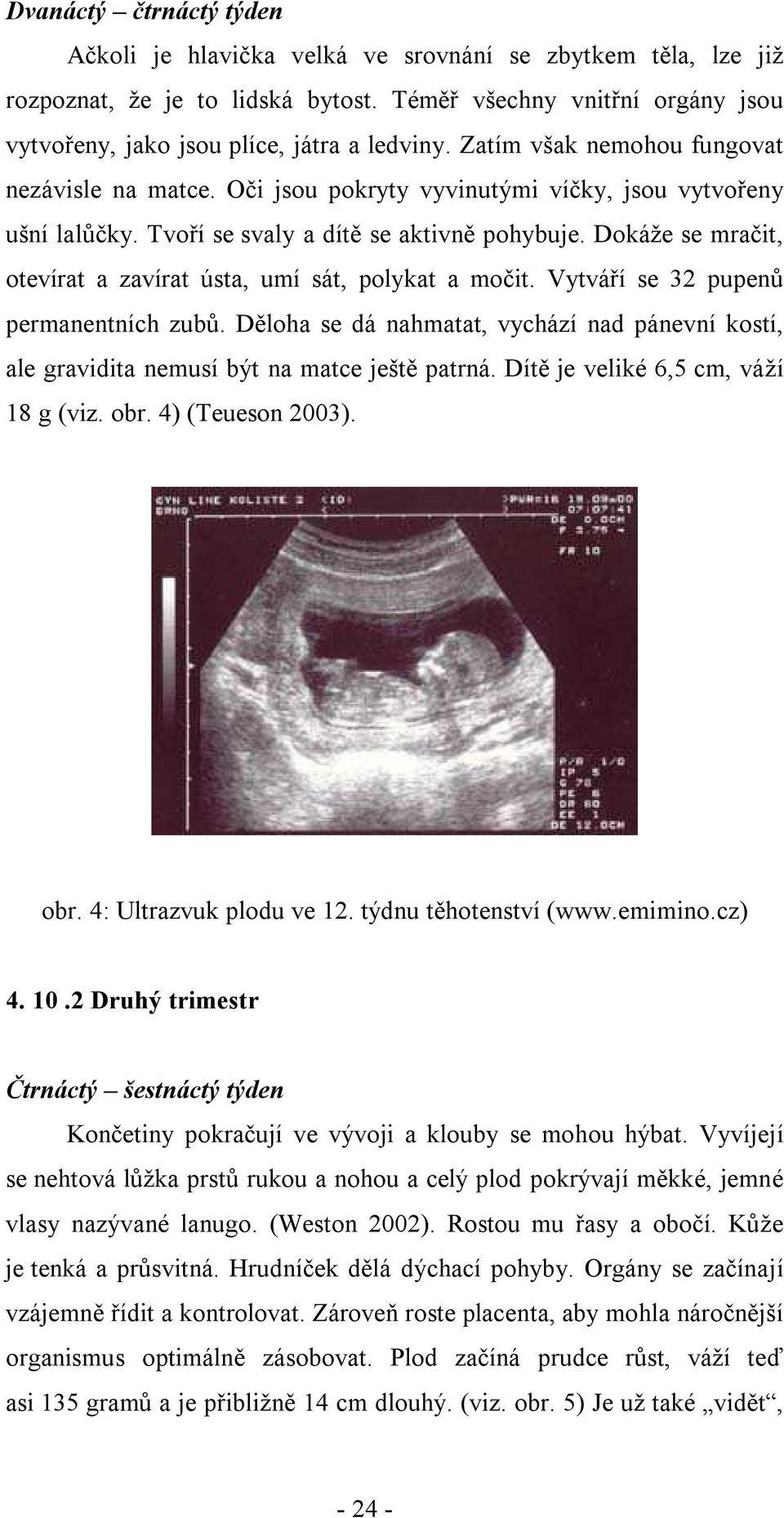 Dokáže se mračit, otevírat a zavírat ústa, umí sát, polykat a močit. Vytváří se 32 pupenů permanentních zubů.