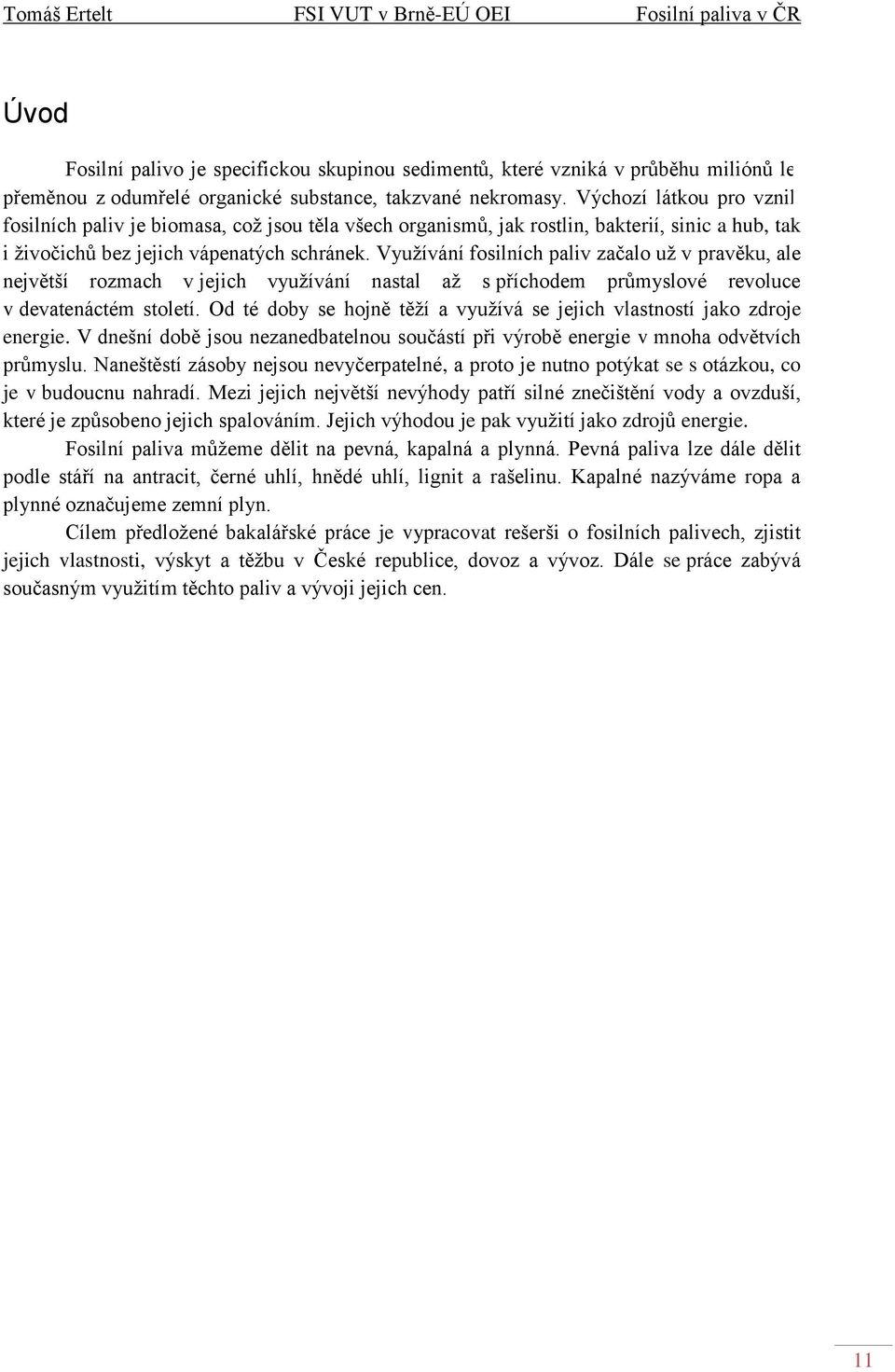 Využívání fosilních paliv začalo už v pravěku, ale největší rozmach v jejich využívání nastal až s příchodem průmyslové revoluce v devatenáctém století.