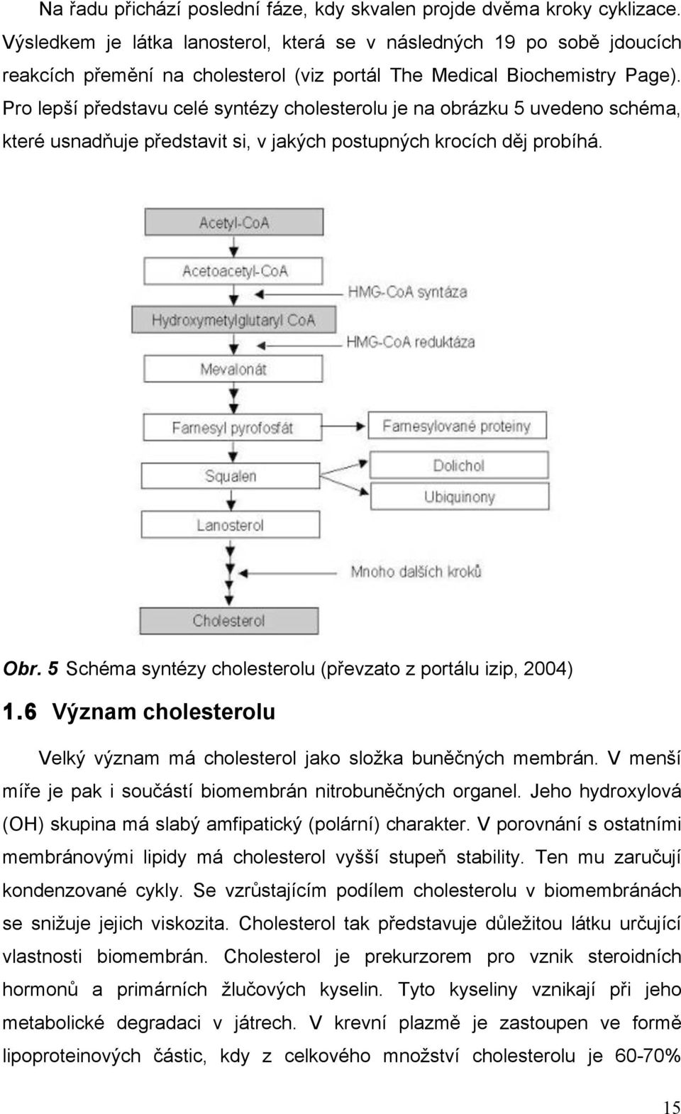Pro lepší představu celé syntézy cholesterolu je na obrázku 5 uvedeno schéma, které usnadňuje představit si, v jakých postupných krocích děj probíhá. Obr.