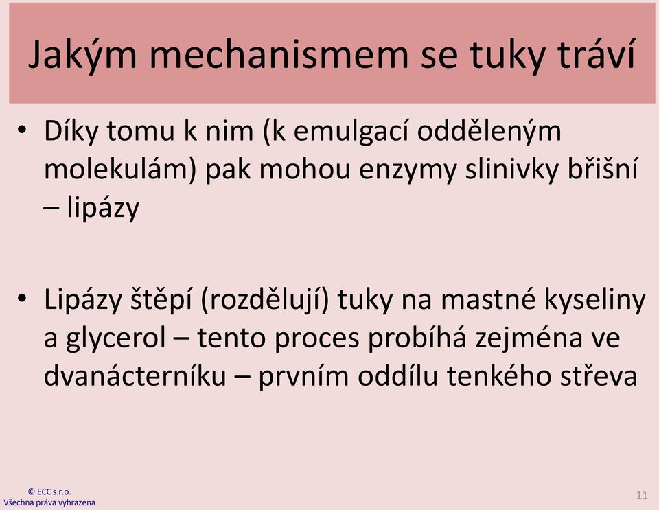 Lipázy štěpí (rozdělují) tuky na mastné kyseliny a glycerol