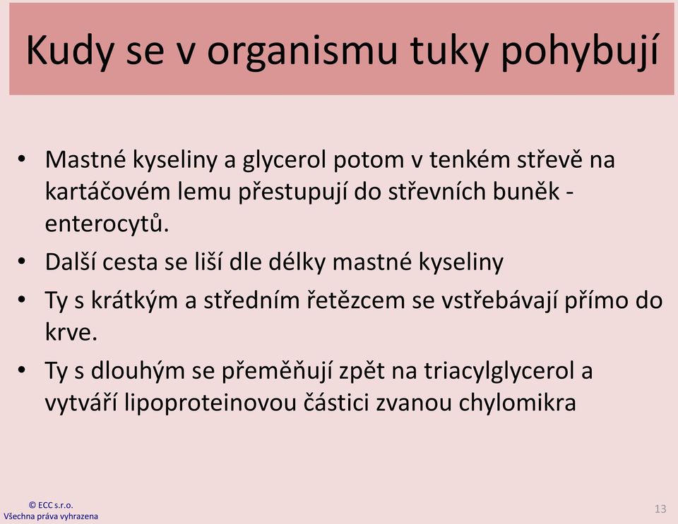 Další cesta se liší dle délky mastné kyseliny Ty s krátkým a středním řetězcem se