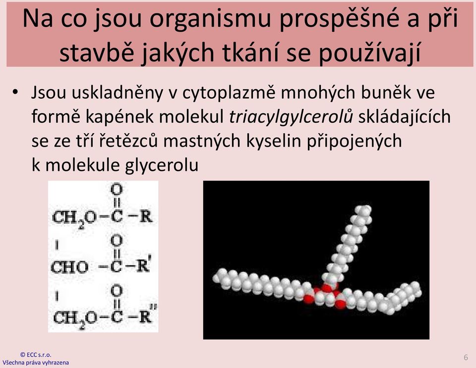 formě kapének molekul triacylgylcerolů skládajících se ze