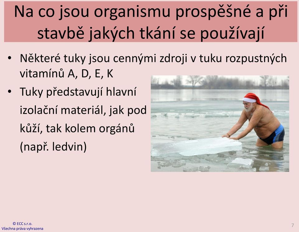 rozpustných vitamínů A, D, E, K Tuky představují hlavní