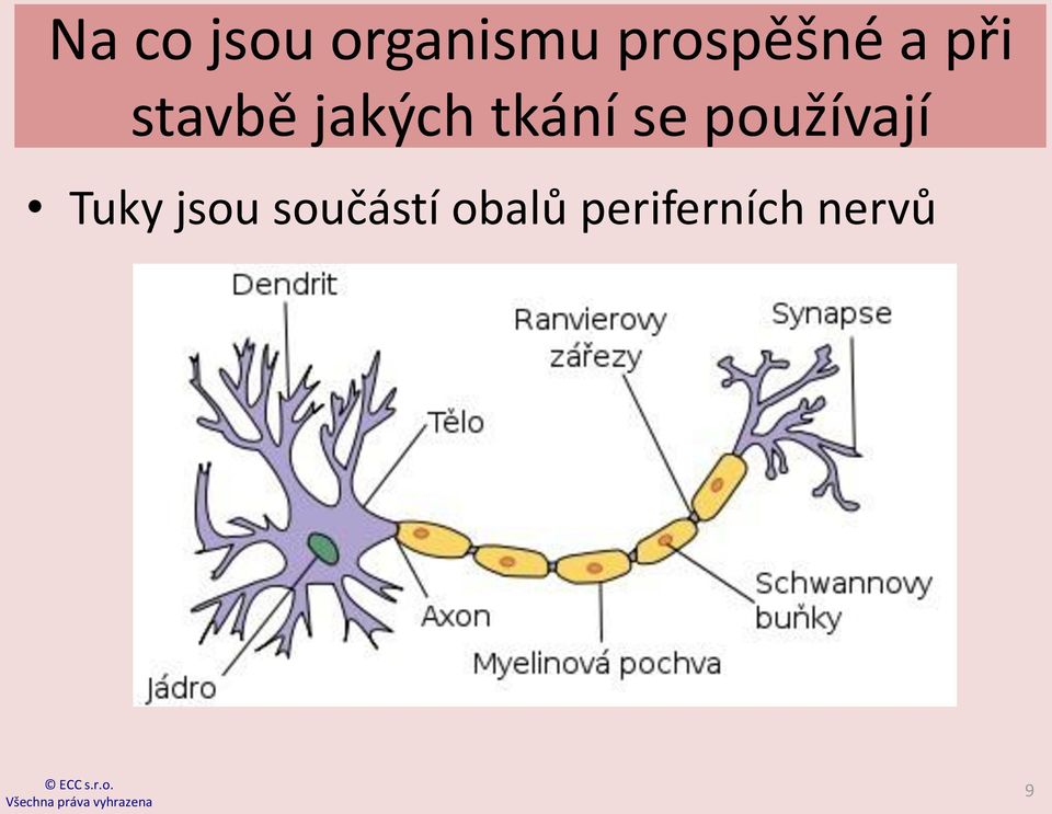 jakých tkání se používají