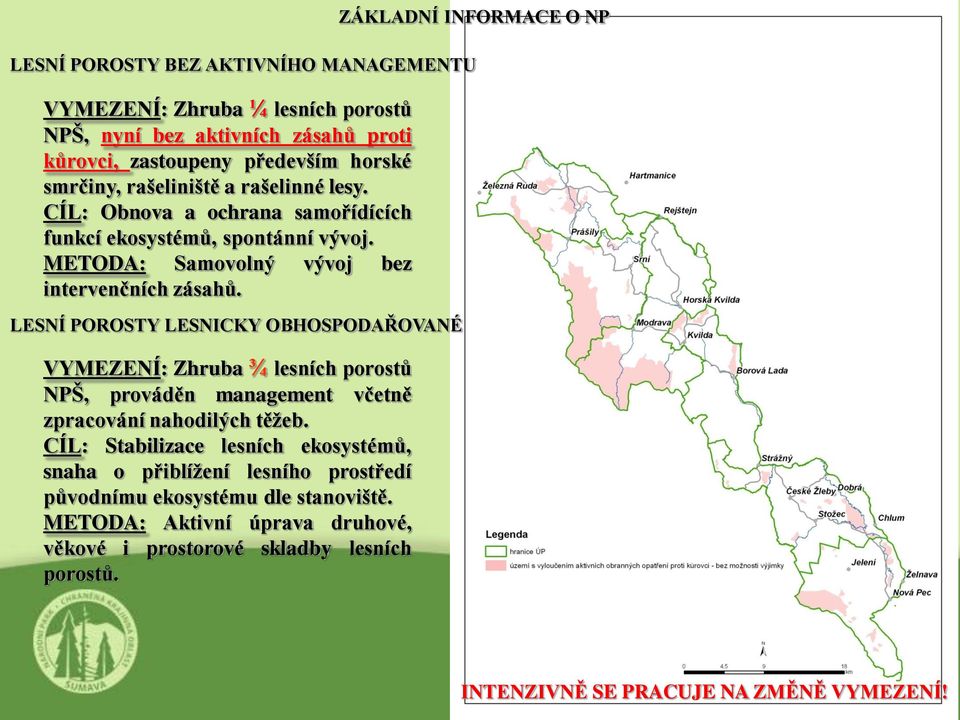 LESNÍ POROSTY LESNICKY OBHOSPODAŘOVANÉ VYMEZENÍ: Zhruba ¾ lesních porostů NPŠ, prováděn management včetně zpracování nahodilých těžeb.