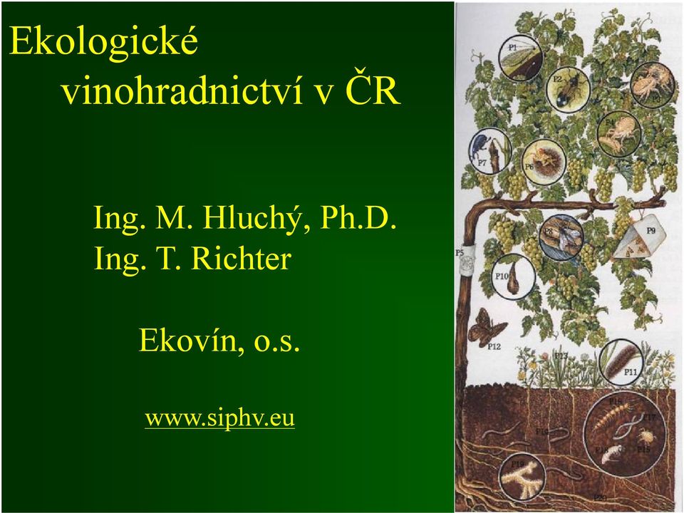 M. Hluchý, Ph.D. Ing. T.