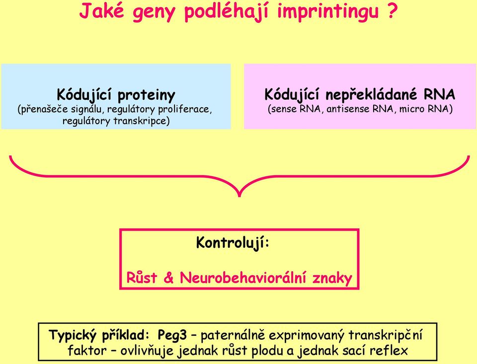 transkripce) Kódující nepřekládané RNA (sense RNA, antisense RNA, micro RNA)