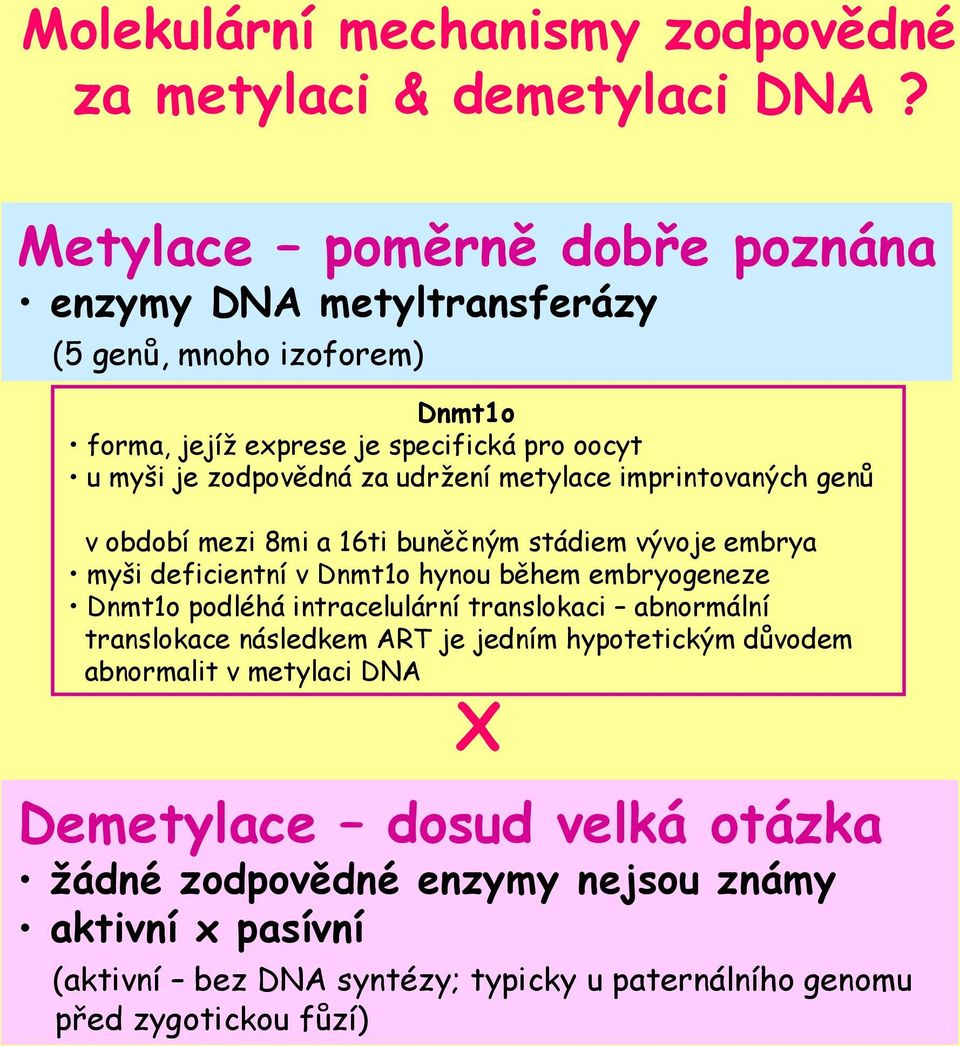 udržení metylace imprintovaných genů v období mezi 8mi a 16ti buněčným stádiem vývoje embrya myši deficientní v Dnmt1o hynou během embryogeneze Dnmt1o podléhá