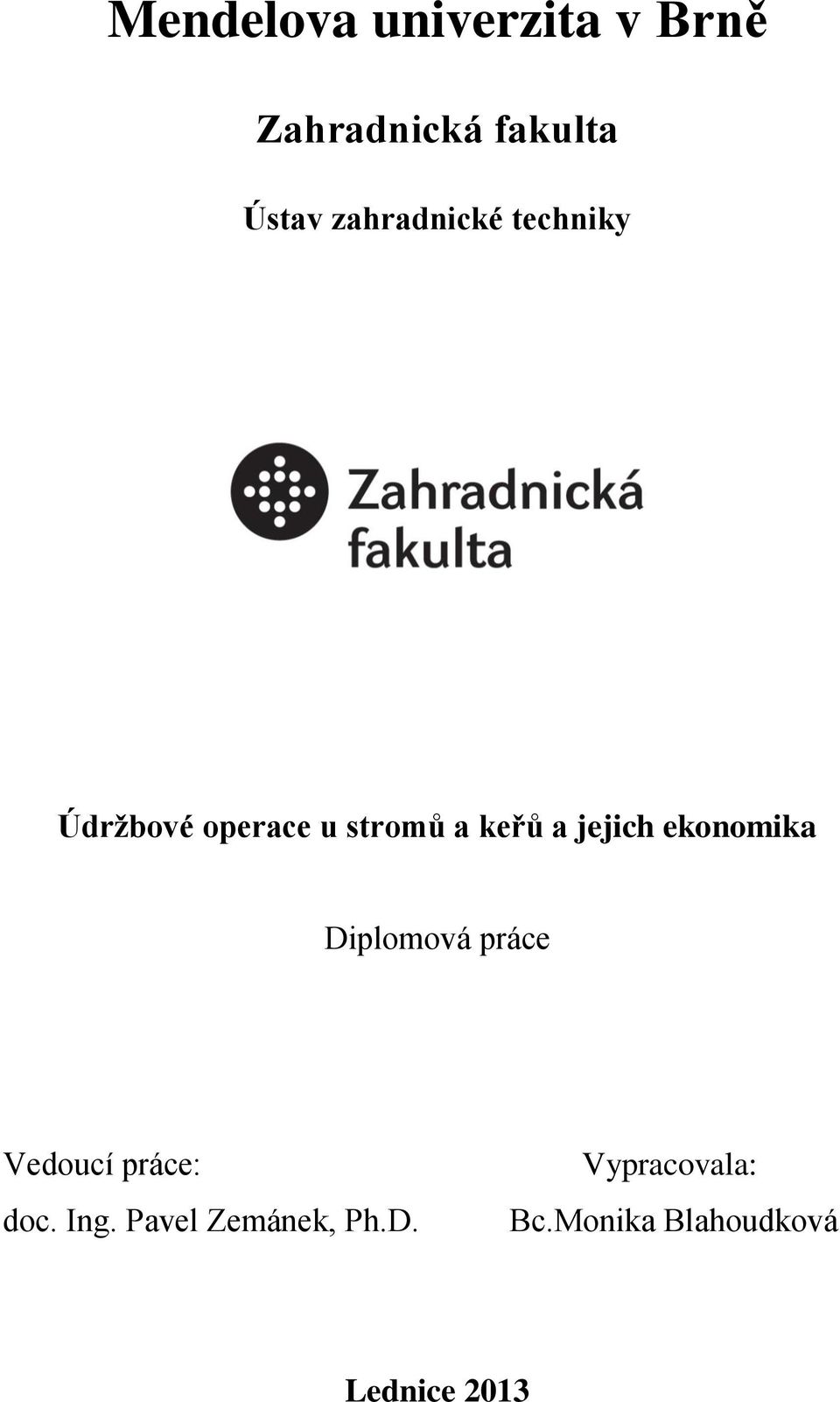 jejich ekonomika Diplomová práce Vedoucí práce: doc. Ing.