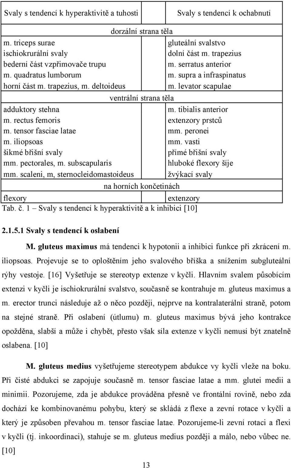 levator scapulae ventrální strana těla adduktory stehna m. tibialis anterior m. rectus femoris extenzory prstců m. tensor fasciae latae mm. peronei m. iliopsoas mm.