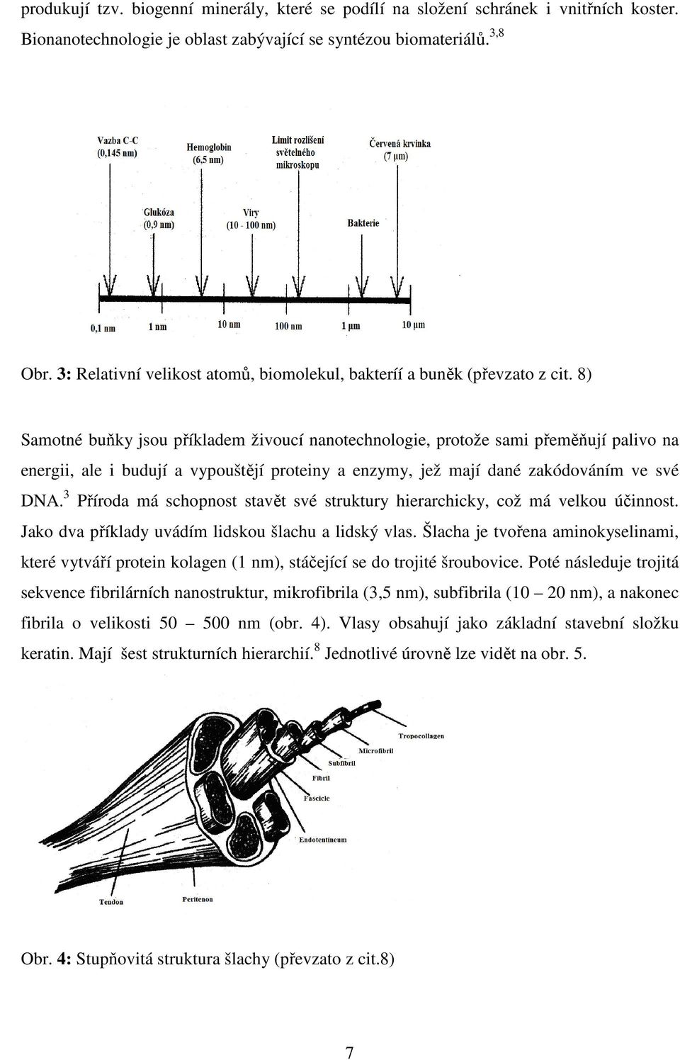 8) Samotné buňky jsou příkladem živoucí nanotechnologie, protože sami přeměňují palivo na energii, ale i budují a vypouštějí proteiny a enzymy, jež mají dané zakódováním ve své DNA.