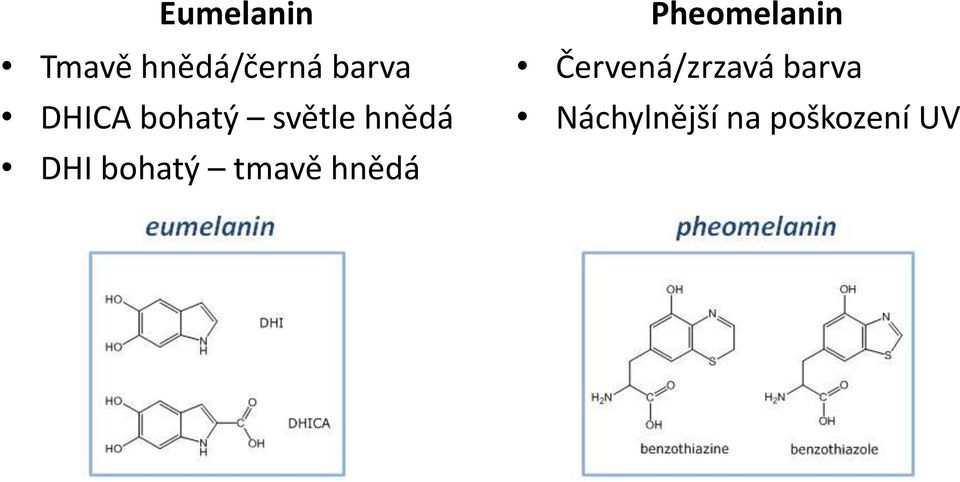 bohatý tmavě hnědá Pheomelanin