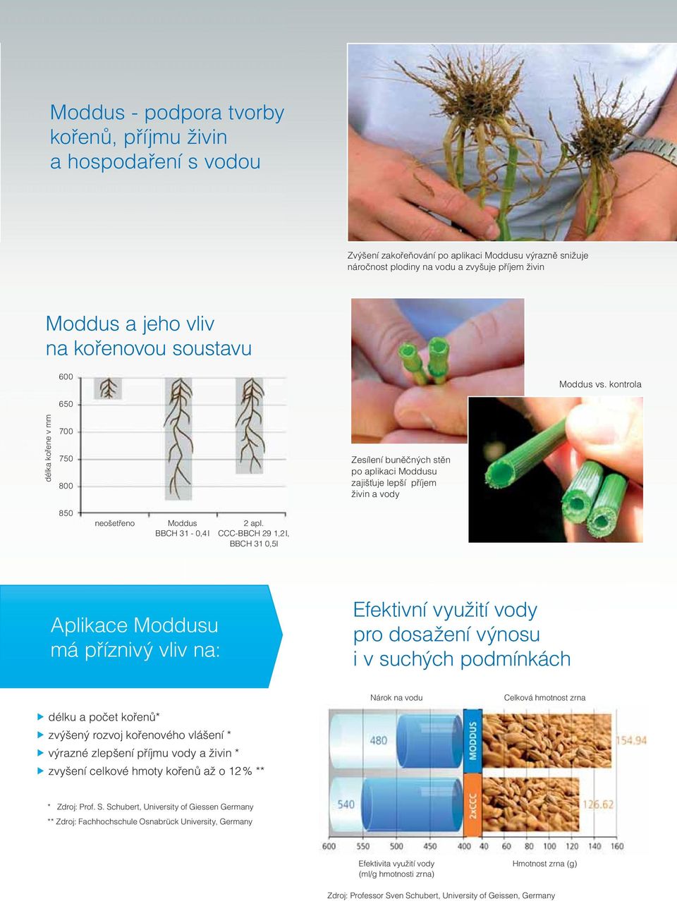 CCC-BBCH 29 1,2 l, BBCH 31 0,5l Aplikace Moddusu má příznivý vliv na: Efektivní využití vody pro dosažení výnosu i v suchých podmínkách délku a počet kořenů* zvýšený rozvoj kořenového vlášení *