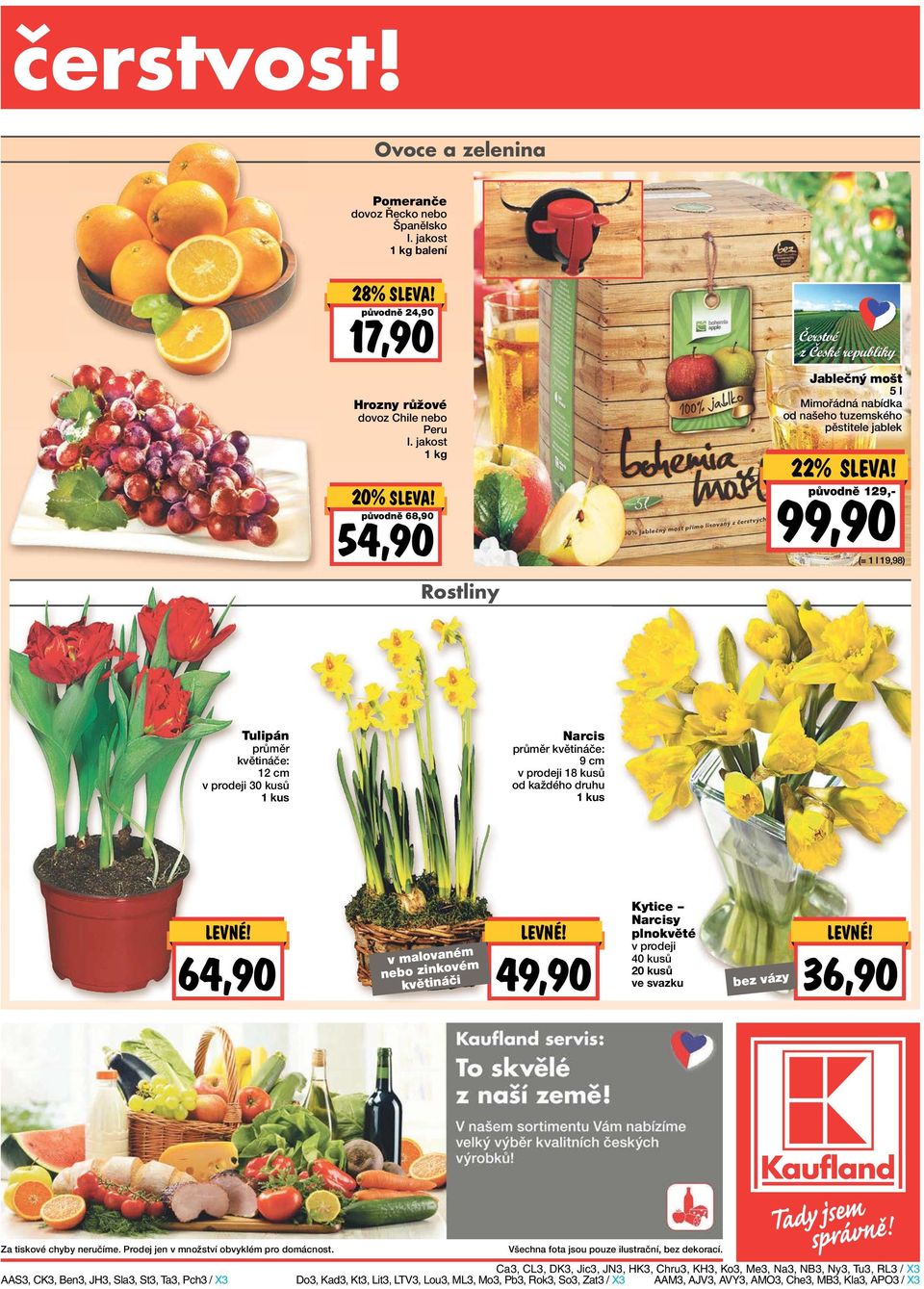 květináče: 12 cm v prodeji 30 kusů 1 kus Narcis průměr květináče: 9 cm v prodeji 18 kusů od každého druhu 1 kus LEVNE! 64,90 v malovaném nebo zinkovém květináči LEVNE!