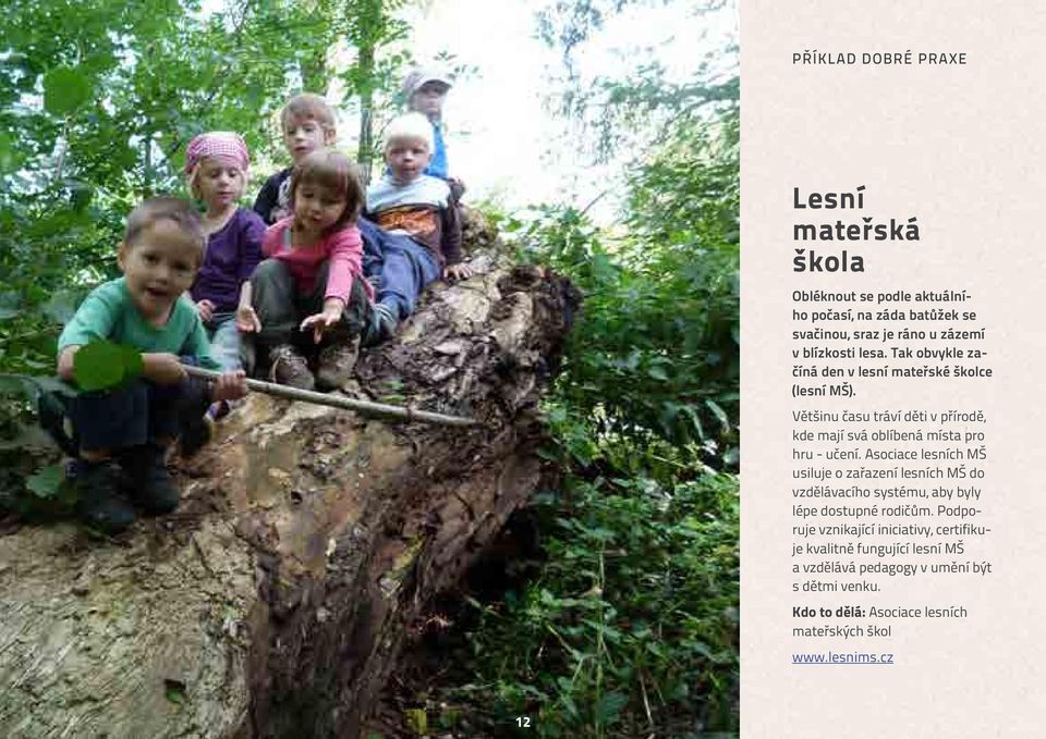 Asociace lesních MŠ usiluje o zařazení lesních MŠ do vzdělávacího systému, aby byly lépe dostupné rodičům.