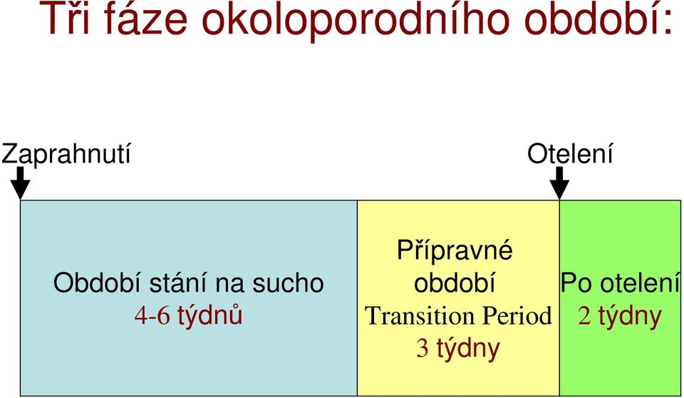 sucho 4-6 týdnů Přípravné období