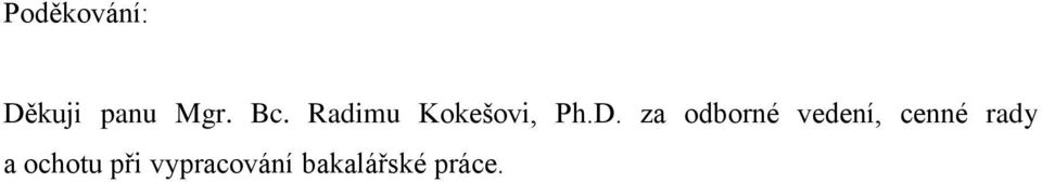 za odborné vedení, cenné rady a
