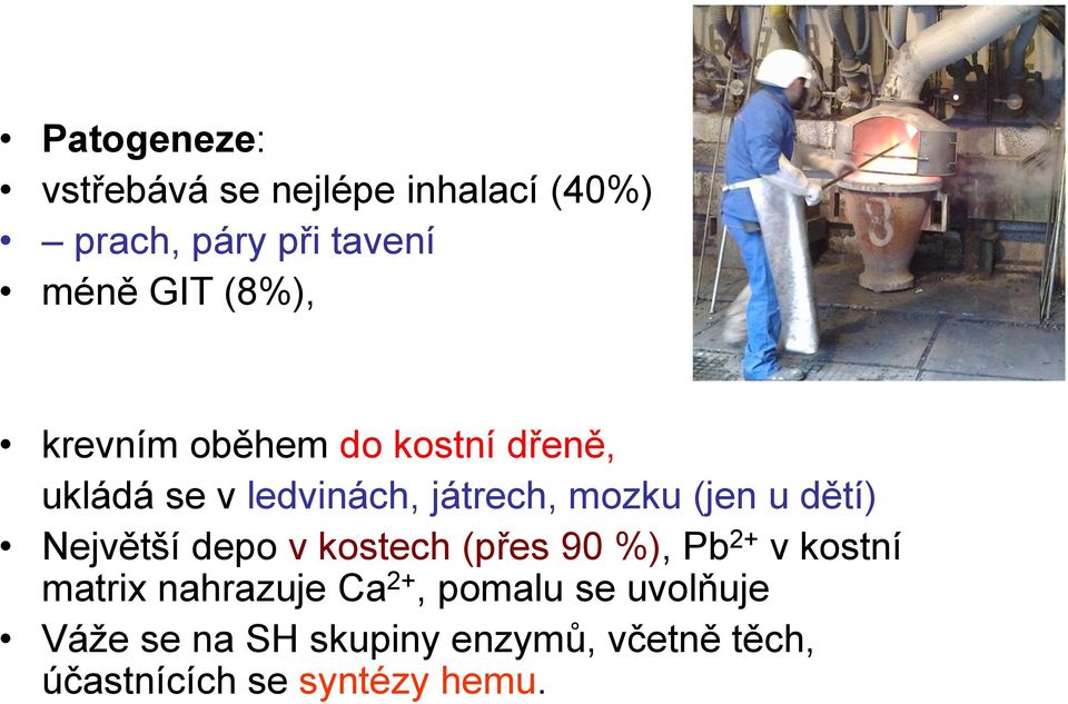 dětí) Největší depo v kostech (přes 90 %), Pb 2+ v kostní matrix nahrazuje Ca 2+,