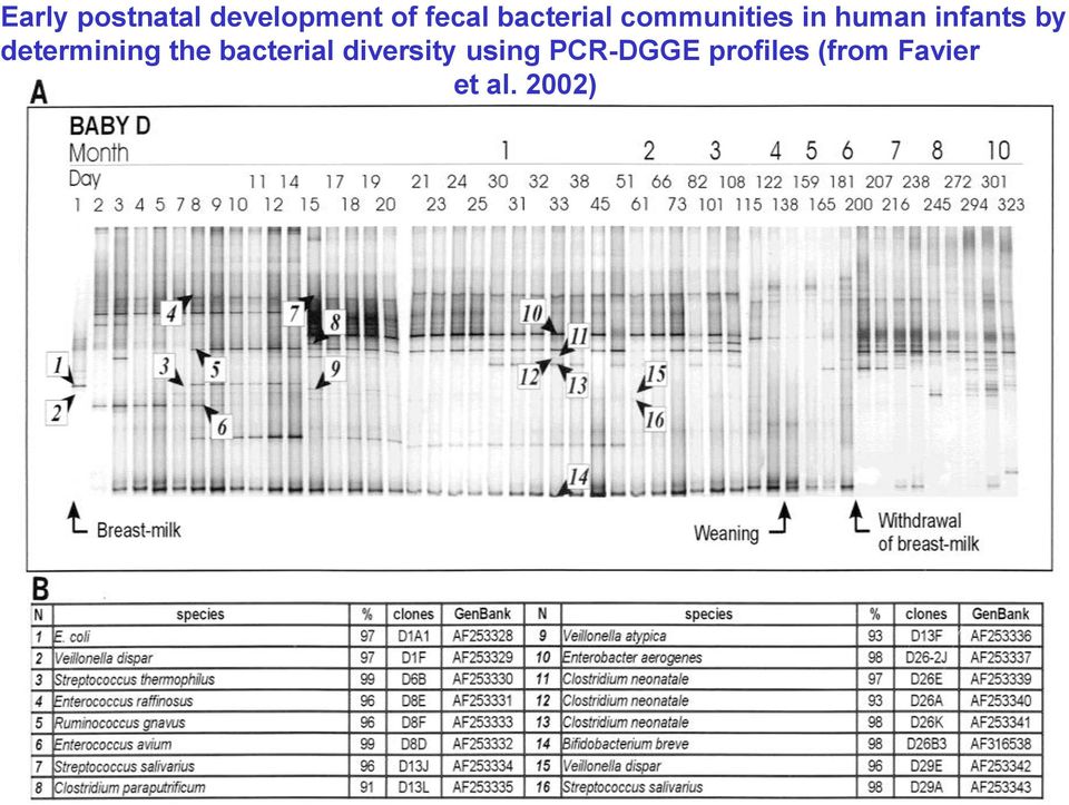 by determining the bacterial diversity