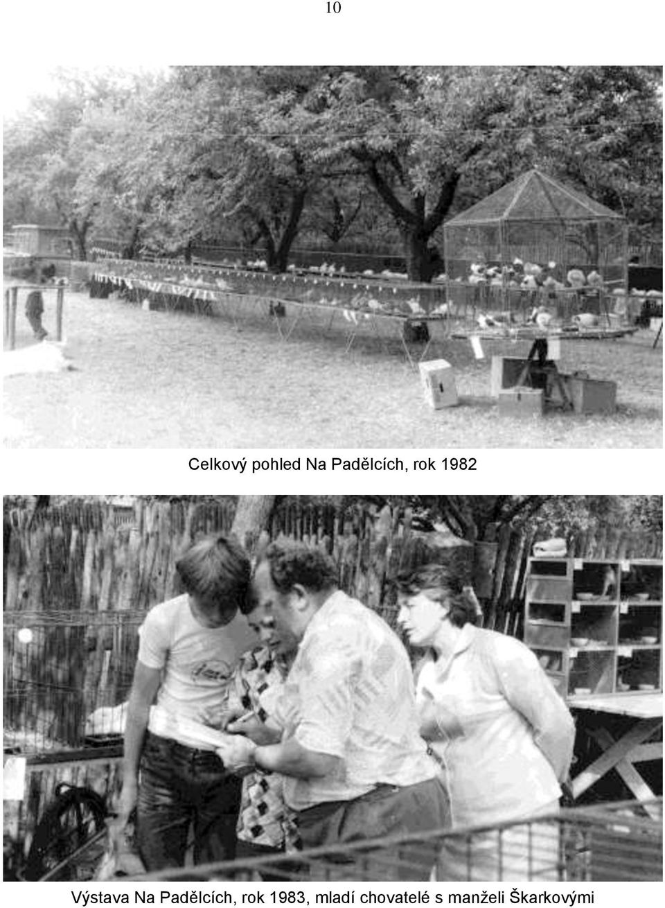 Na Padělcích, rok 1983,