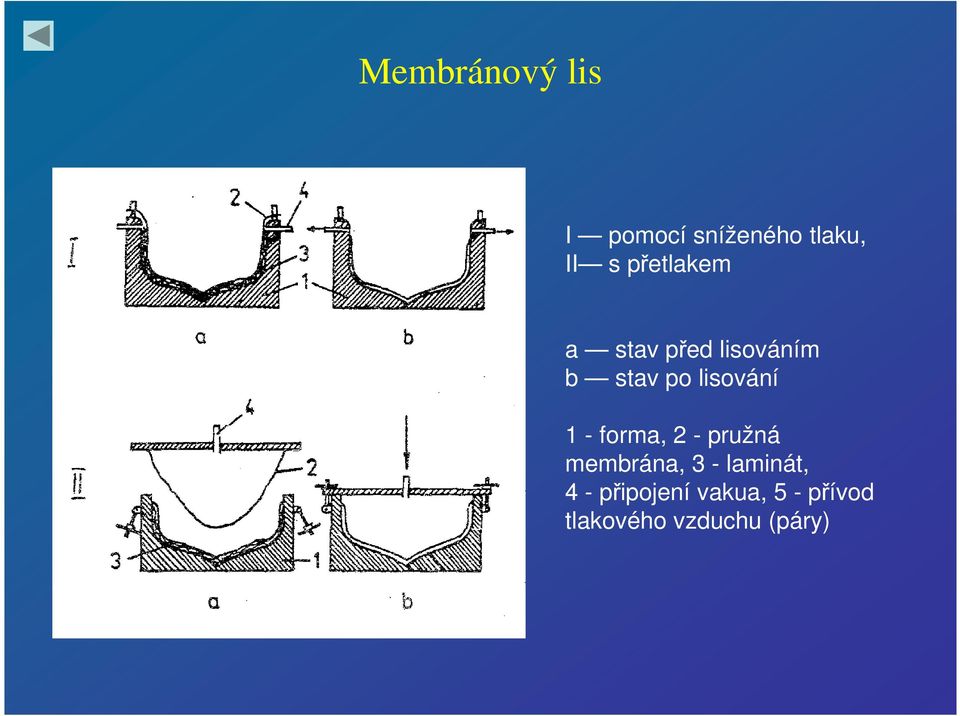 lisování 1 - forma, 2 - pružná membrána, 3 -