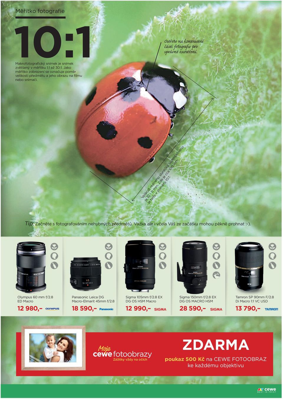 Tip: Začněte s fotografováním nehybných předmětů. Vážka ale i včela Váš ze začátku mohou pěkně prohnat :-). Olympus 60 mm f/2.8 ED Macro Panasonic Leica DG Macro-Elmarit 45mm f/2.