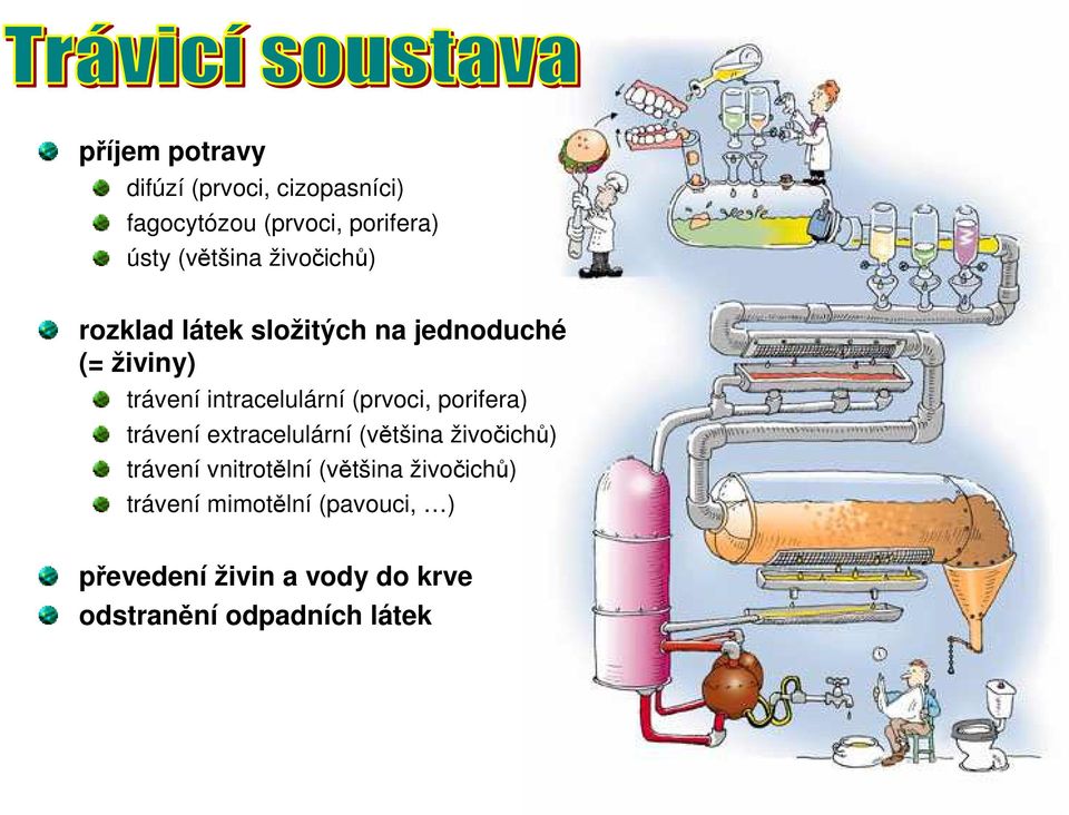 (prvoci, porifera) trávení extracelulární (většina živočichů) trávení vnitrotělní (většina