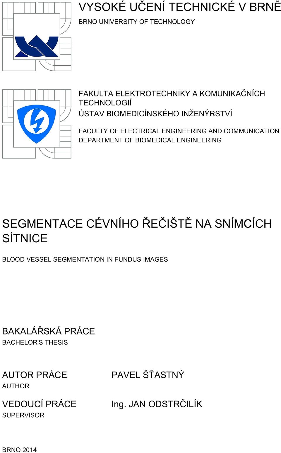 ENGINEERING SEGMENTACE CÉVNÍHO ŘEČIŠTĚ NA SNÍMCÍCH SÍTNICE BLOOD VESSEL SEGMENTATION IN FUNDUS IMAGES