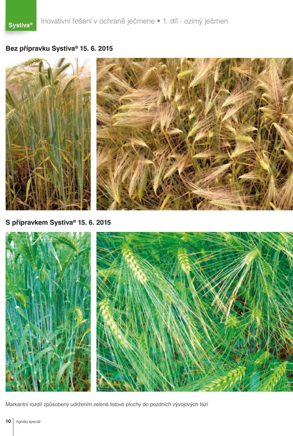 2015 S přípravkem Systiva 15. 6.
