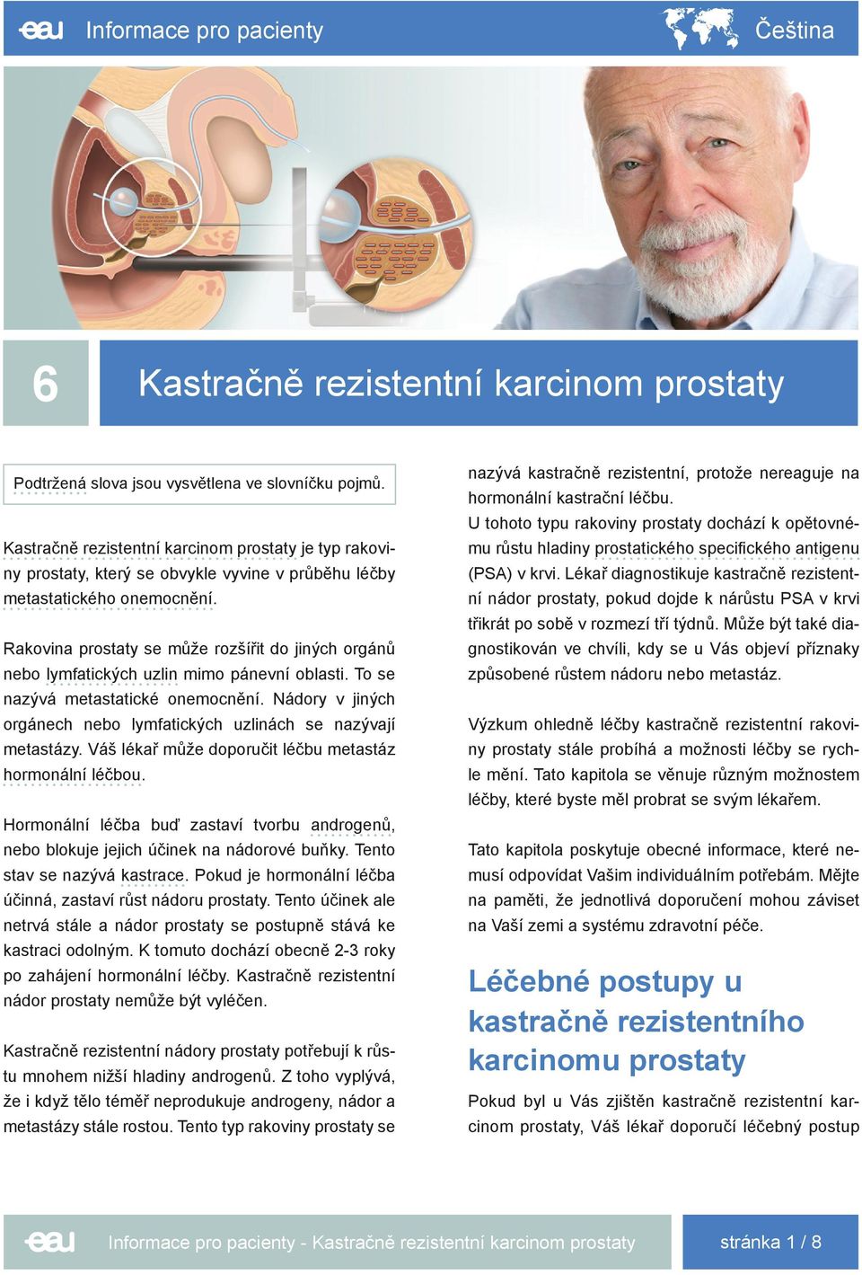 Rakovina prostaty se může rozšířit do jiných orgánů nebo lymfatických uzlin mimo pánevní oblasti. To se nazývá metastatické onemocnění.