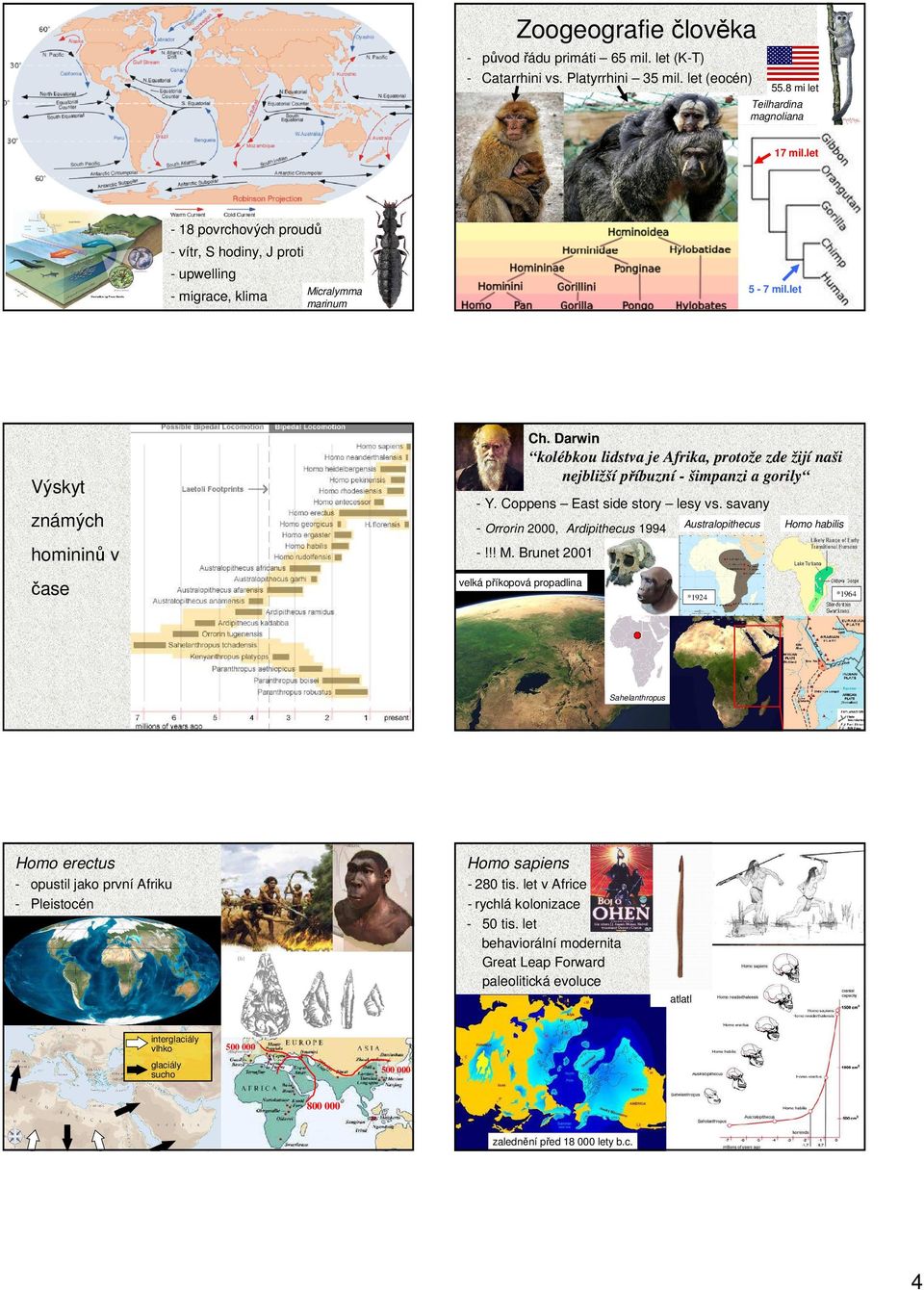 Darwin kolébkou lidstva je Afrika, protože zde žijí naši nejbližší příbuzní - šimpanzi a gorily - Y. Coppens East side story lesy vs. savany - Orrorin 2000, Ardipithecus 1994 -!!! M.
