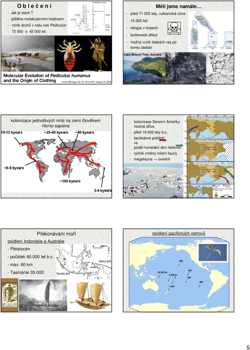 bottleneck effect - možný vznik lidských ras po tomto období Lake (Mount) Toba, Sumatra kolonizace jednotlivých míst na zemi člověkem Homo sapiens - kolonizace Severní Ameriky možná
