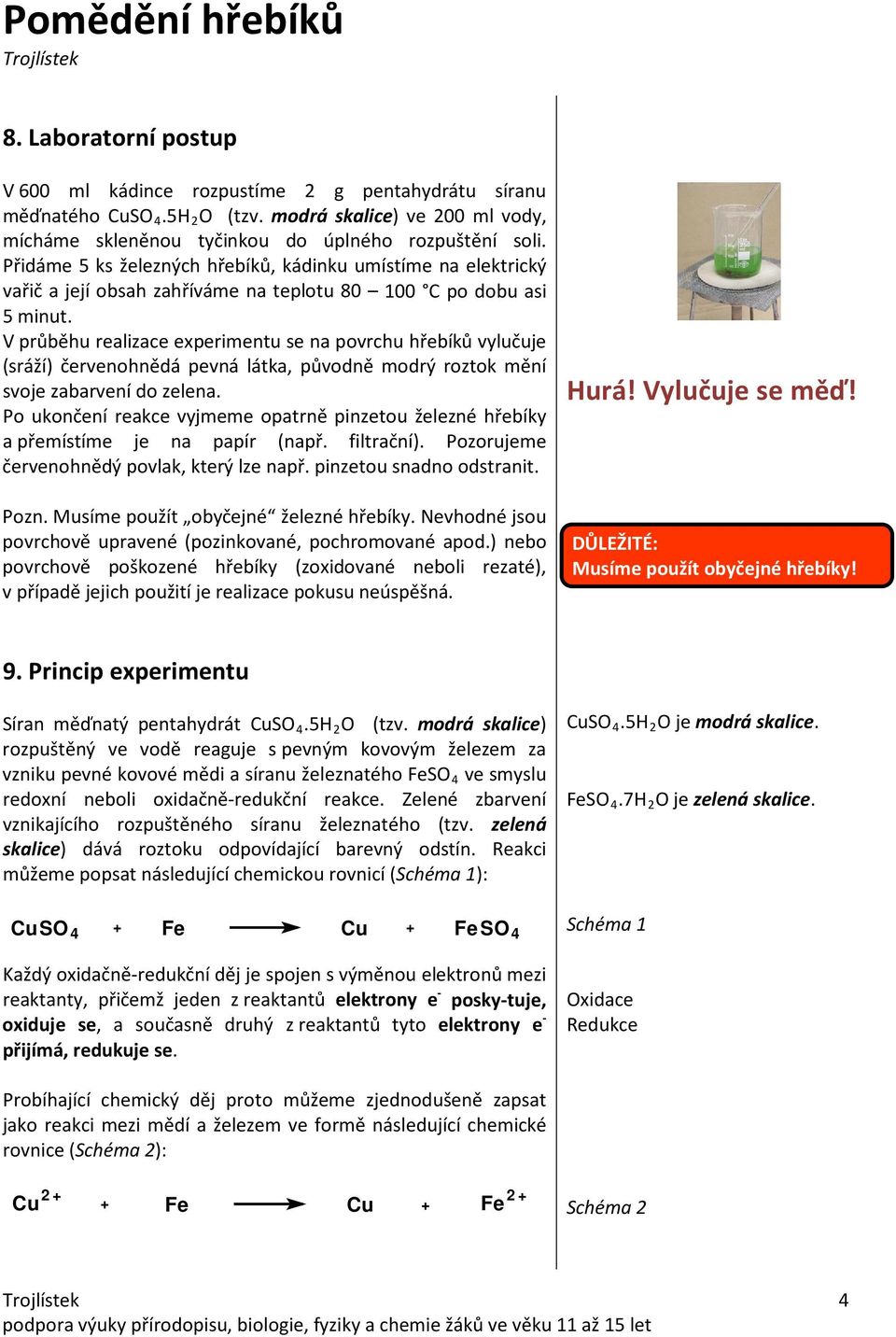 2.10 Pomědění hřebíků. Projekt Trojlístek - PDF Stažení zdarma