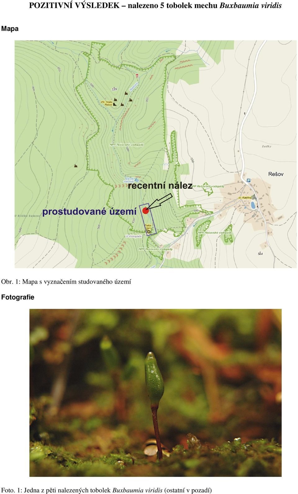 1: Mapa s vyznačením studovaného území Fotografie