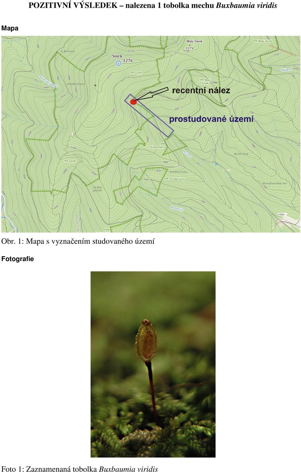 1: Mapa s vyznačením studovaného území