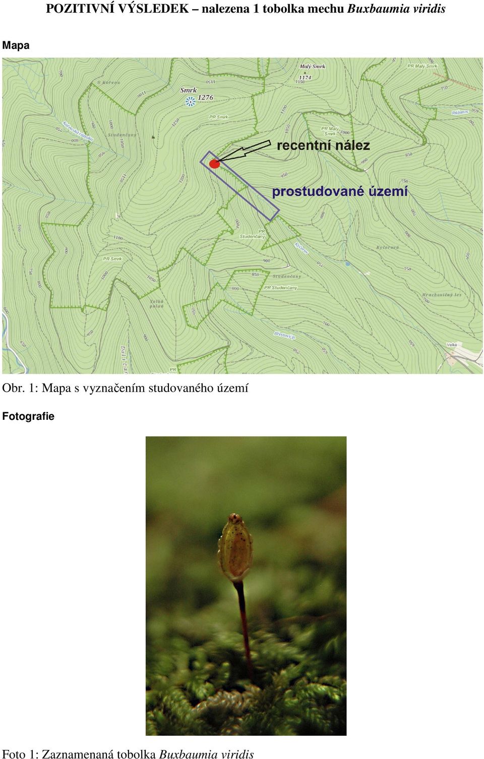 1: Mapa s vyznačením studovaného území