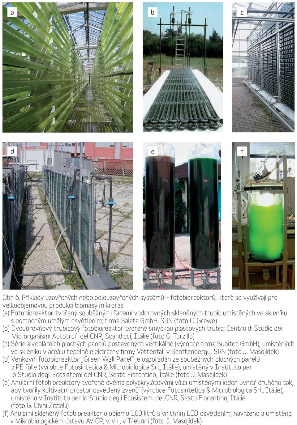 trubic umístěných ve skleníku s pomocným umělým osvětlením; firma Salata GmbH, SRN (foto C.