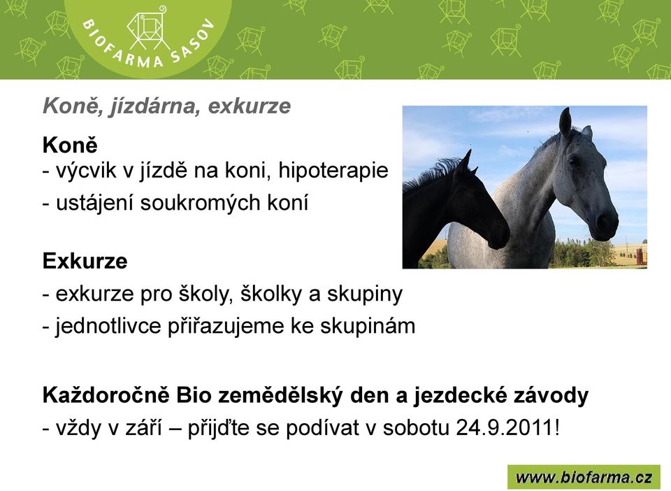 Exkurze - exkurze pro školy, školky a skupiny - jednotlivce