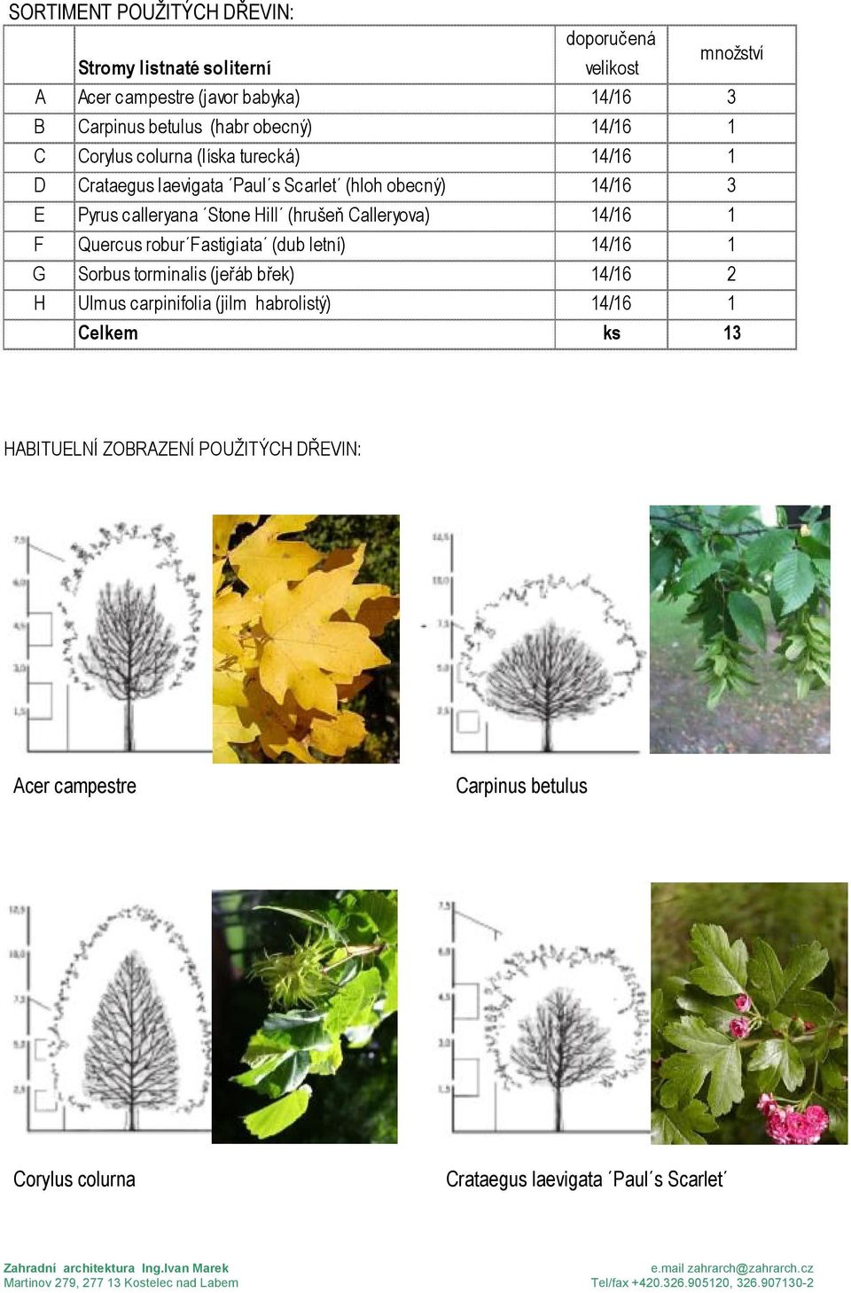 (hrušeň Calleryova) 14/16 1 F Quercus robur Fastigiata (dub letní) 14/16 1 G Sorbus torminalis (jeřáb břek) 14/16 2 H Ulmus carpinifolia (jilm