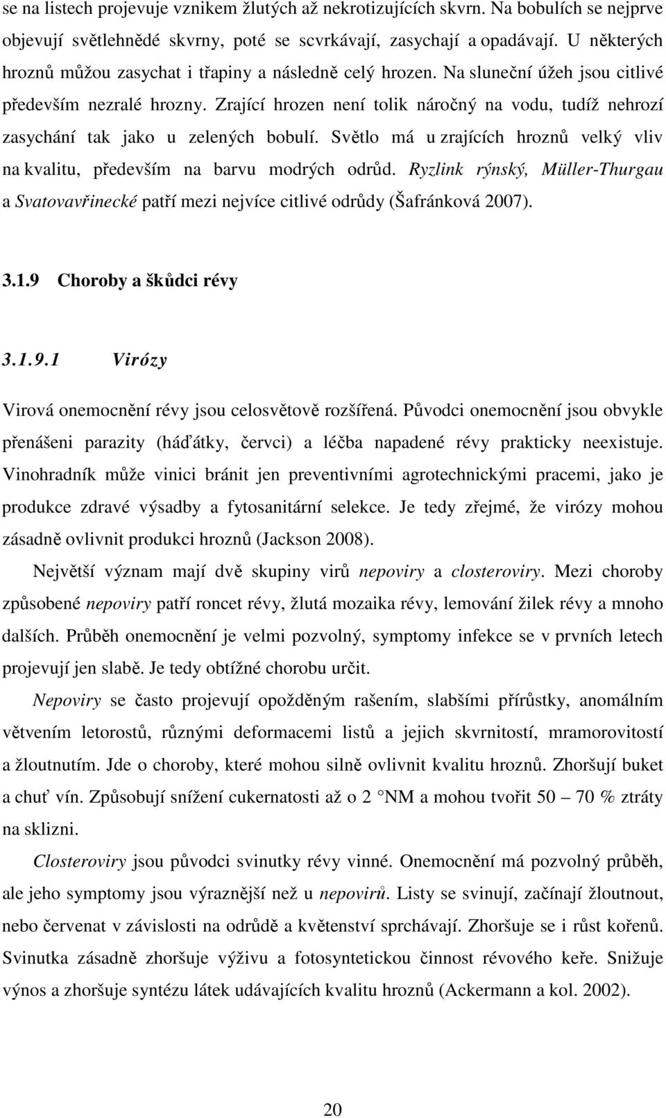 Zrající hrozen není tolik náročný na vodu, tudíž nehrozí zasychání tak jako u zelených bobulí. Světlo má u zrajících hroznů velký vliv na kvalitu, především na barvu modrých odrůd.