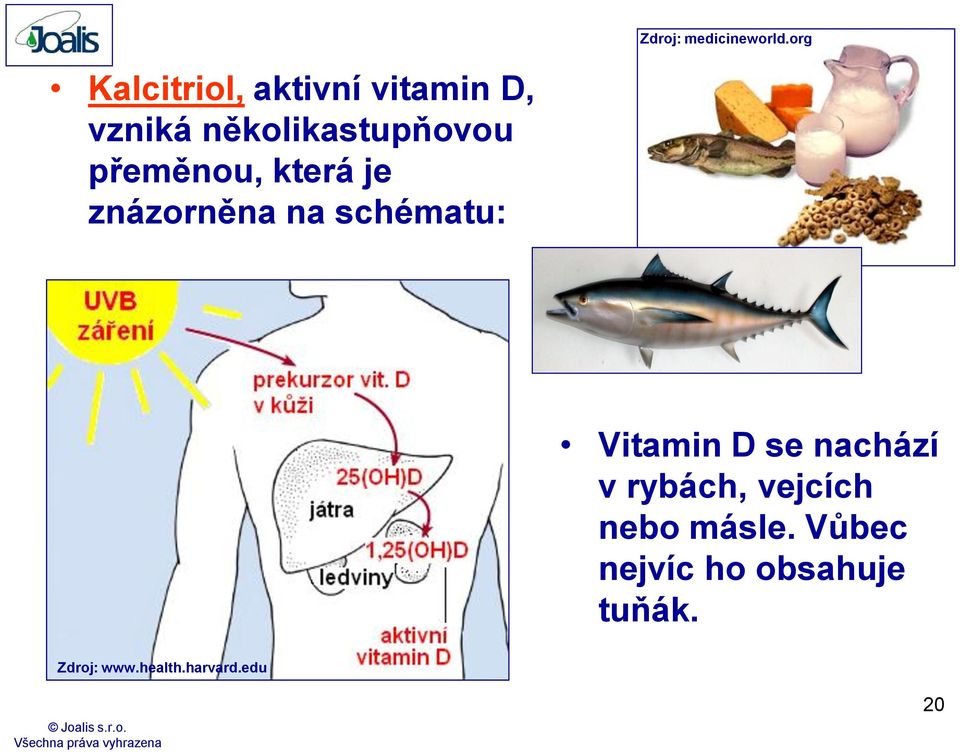 přeměnou, která je znázorněna na schématu: Vitamin D se