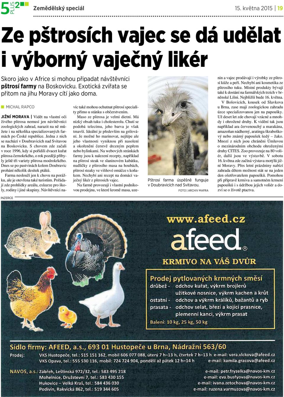 FOTO ARCHIV MAFRA JIŽNÍ MORAVA Vidět na vlastní oči živého pštrosa nemusí jen návštěvníci zoologických zahrad, narazit na ně můžete inaněkolika specializovaných farmách po České republice.